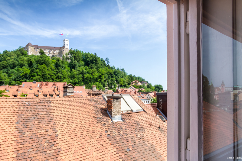 Фото Barbo Palace