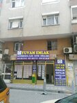 My Home Real Estate (İstanbul, Bahçelievler, Şirinevler Mah., Mithatpaşa 6. Sok., 34-36A), real estate agency