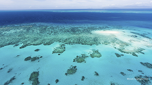 Фото Mercure Rimini Lungomare