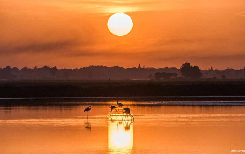 Фото Hotel Sorriso