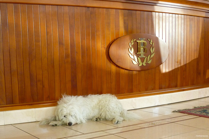 Фото Hotel Baia Imperiale & SPA