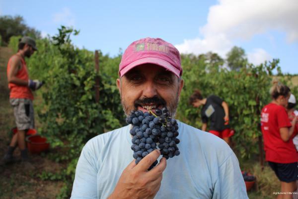 Фото Villa Venti