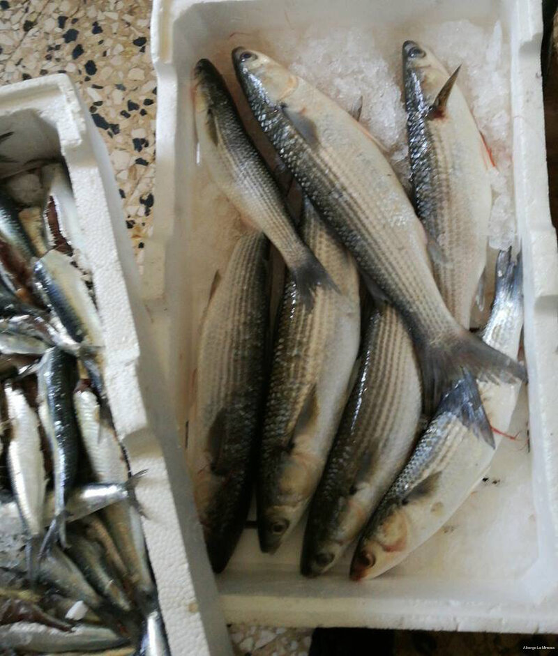 Фото Hotel Ristorante La Mimosa