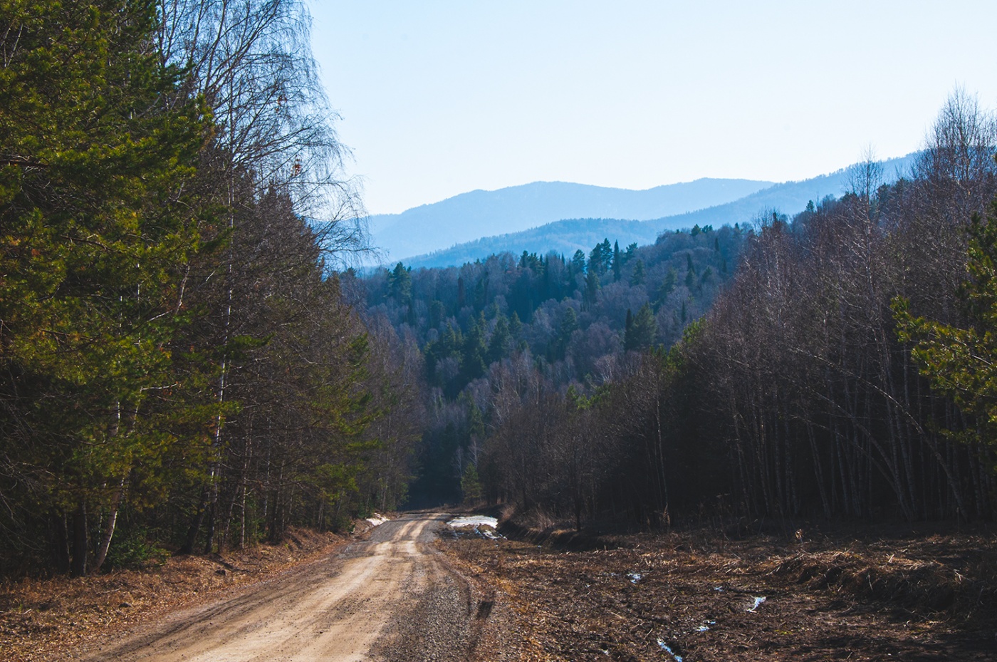 Фото Старые друзья Белокуриха