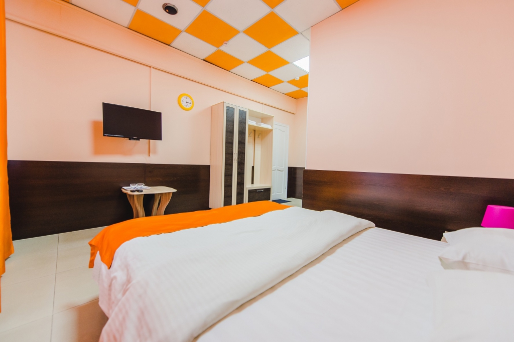 Фото Декабрист