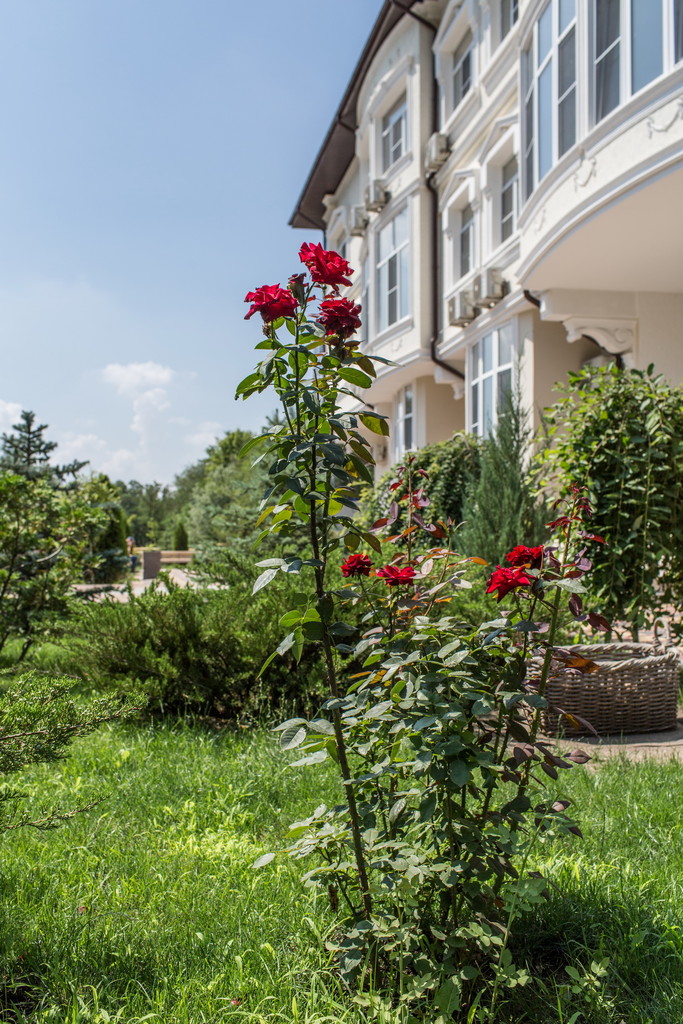 Фото Голубое озеро