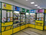 Аптека низких цен (ulitsa Kraskoma, 32), pharmacy