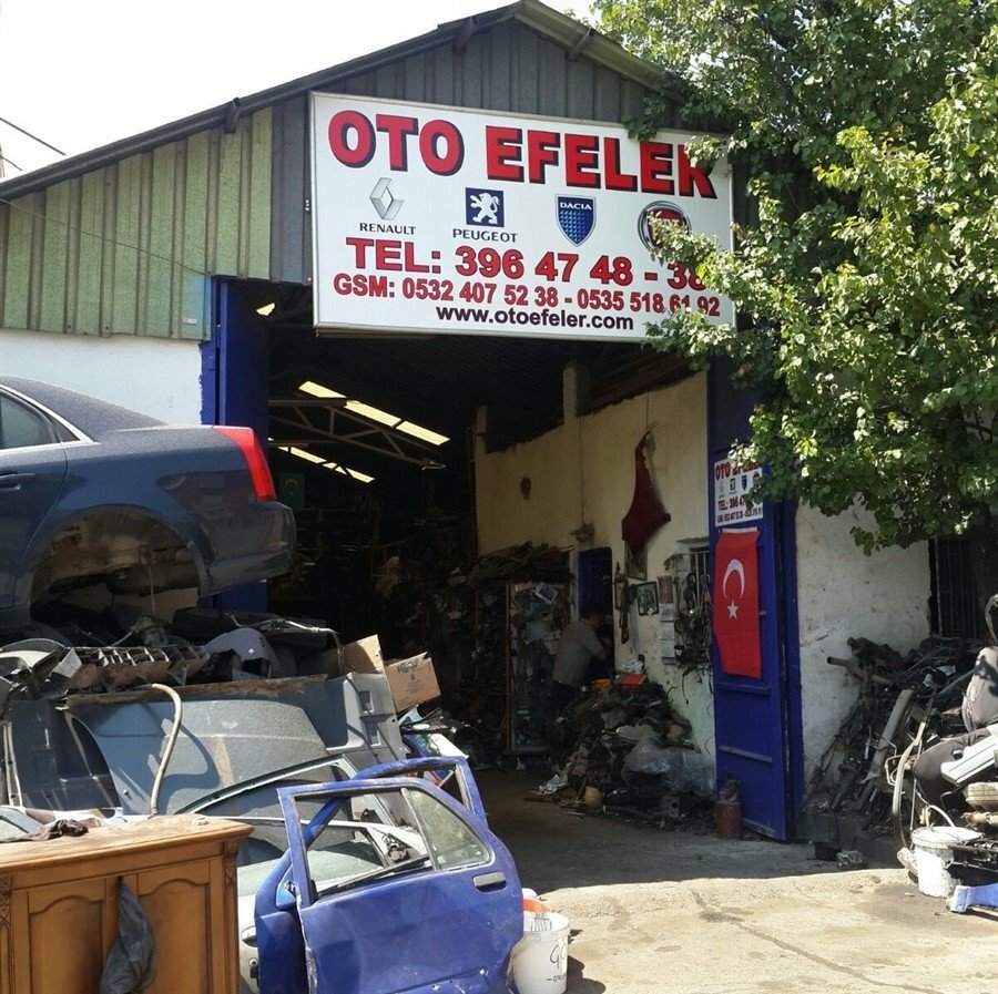 Auto parts and auto goods store Auto Efeler, Ankara, photo