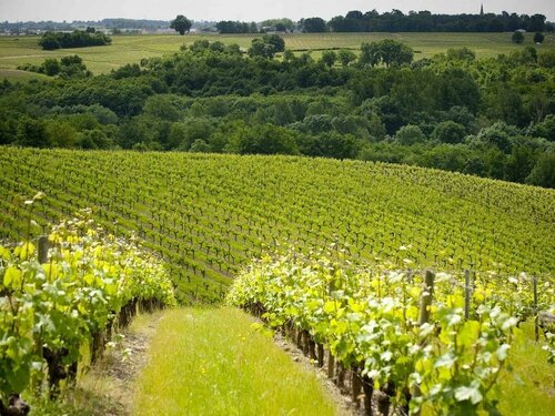 Гостиница Domaine de la Soucherie в Сомюре