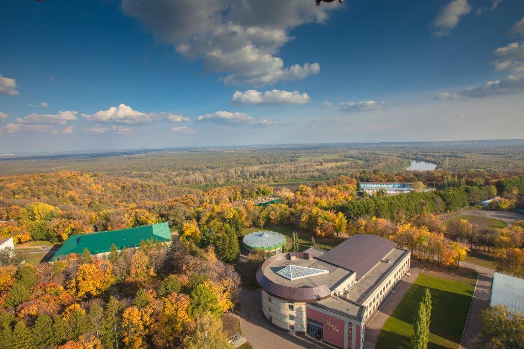 Фото Зеленая роща