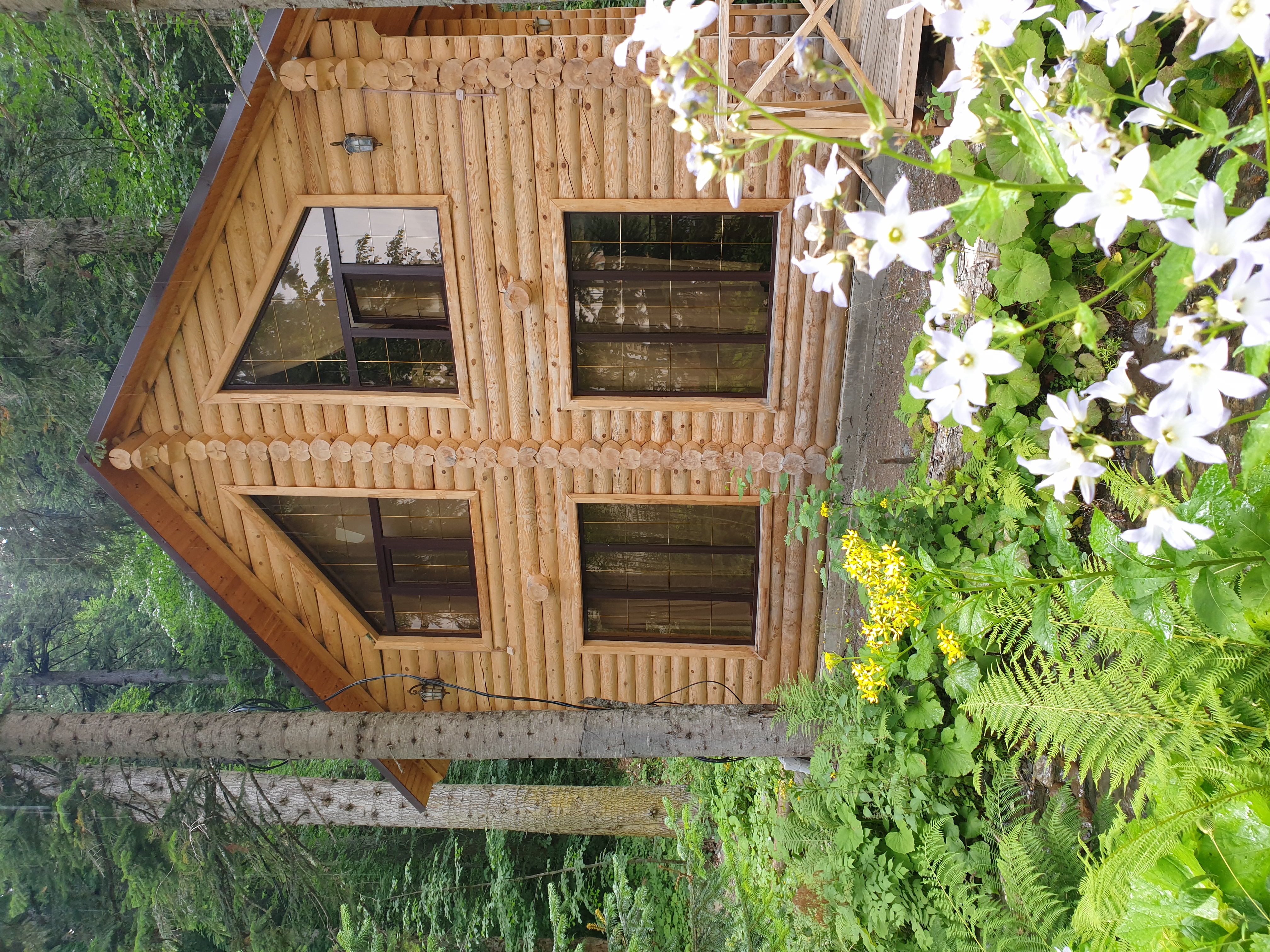 Фото Домик в лесу