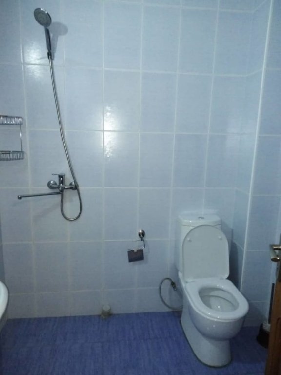 Фото Отель Babysito