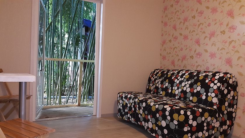 Фото Бамбук хутор