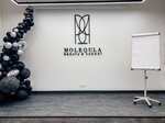Molequla beauty hall (Mira Street, 61А), beauty salon