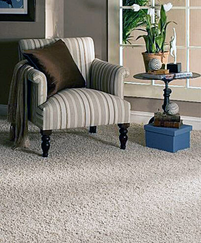 أغطية السجاد Maestropol - floor surfaces ، موسكو، صورة
