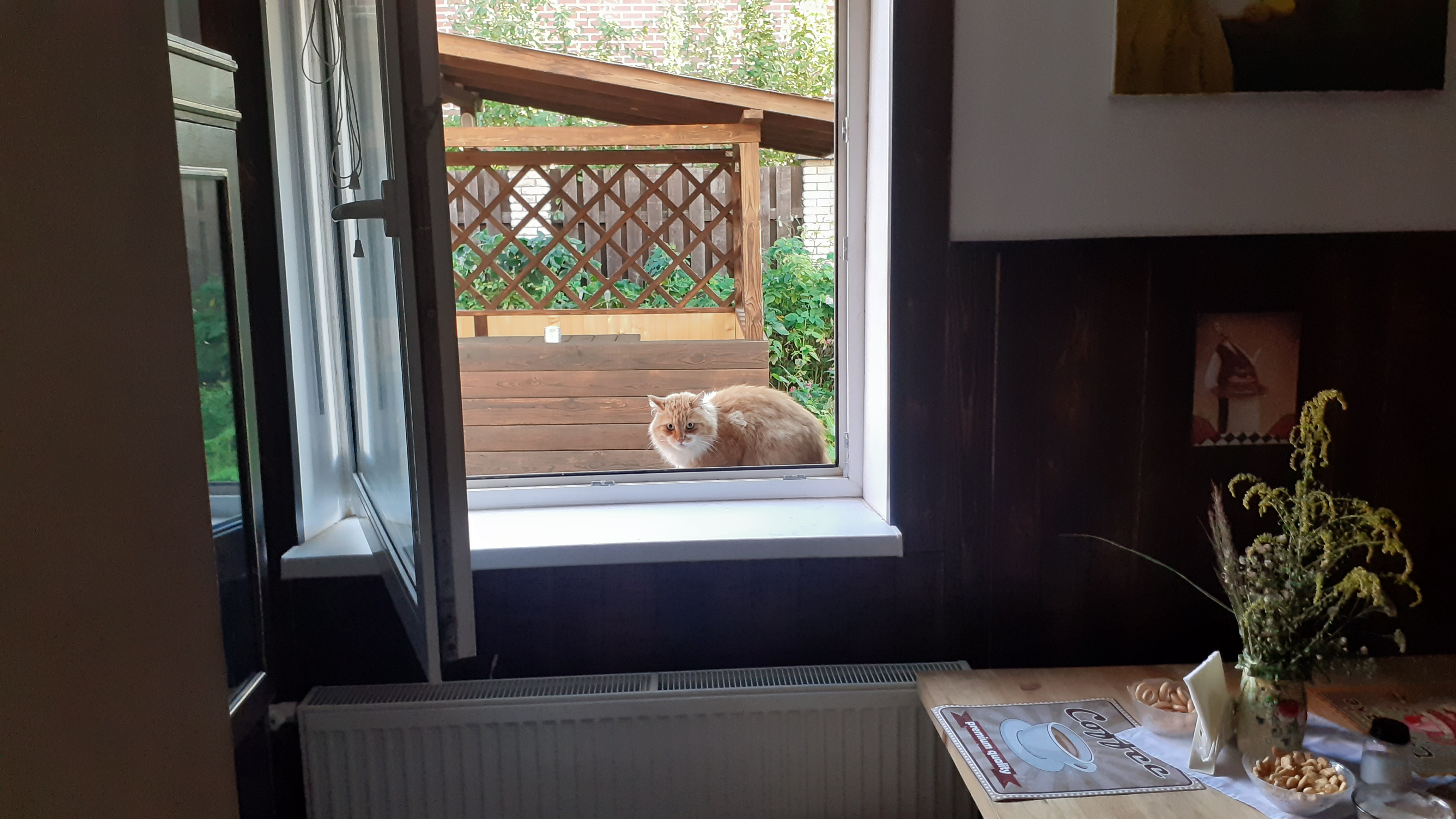 Фото Старая Стрельна