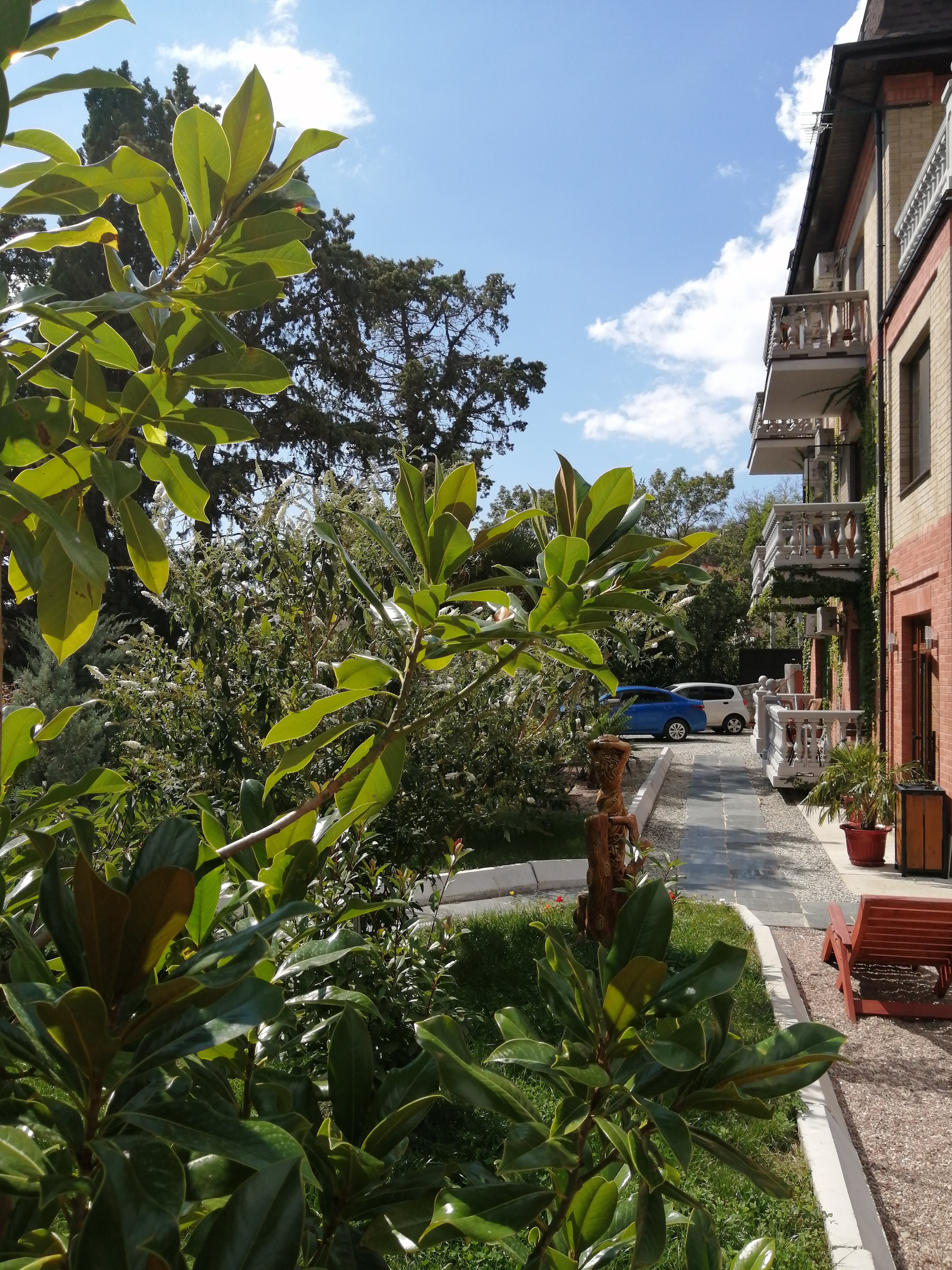 Фото Дача Дриада