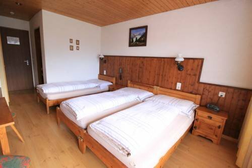 Гостиница Hotel Fiescherhof