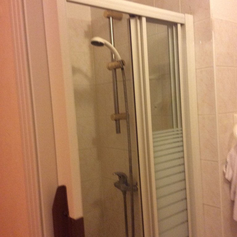 Фото Hotel du Cygne