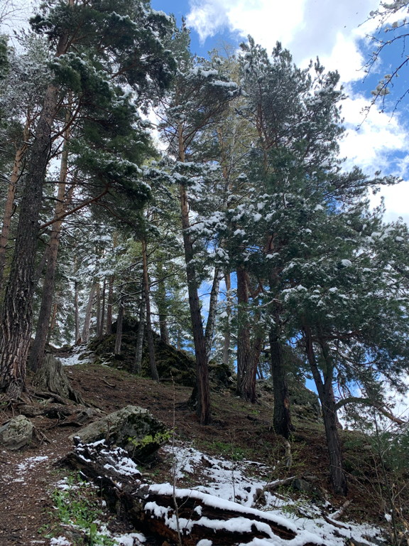 Фото Апартаменты у Сергеевича