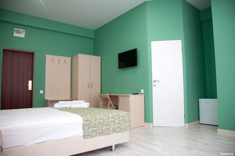 Фото Лаванда