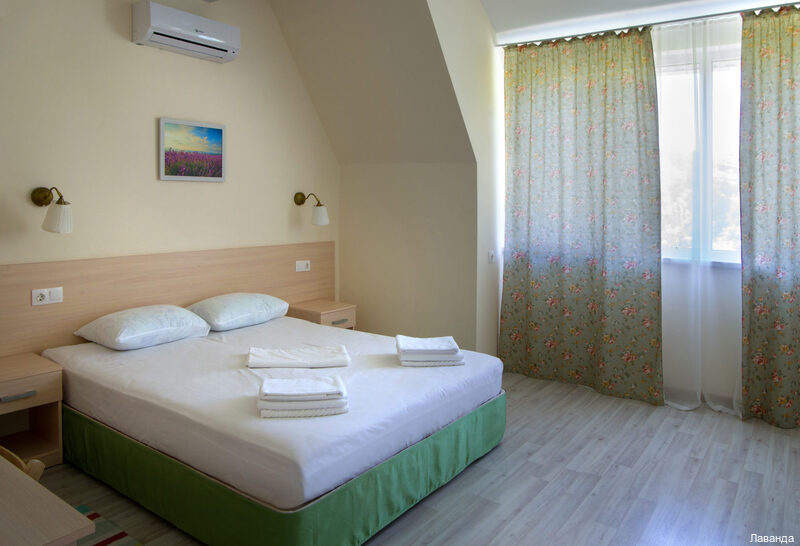 Фото Лаванда