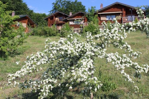 Гостиница Sfendamos Wood Village