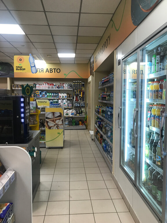 Gas station Rosneft, Tula Oblast, photo