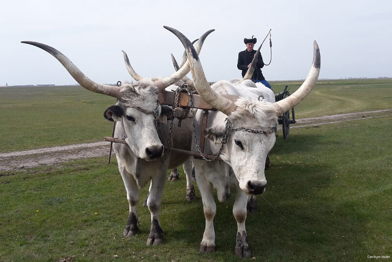 Фото Centrum Hotel Debrecen