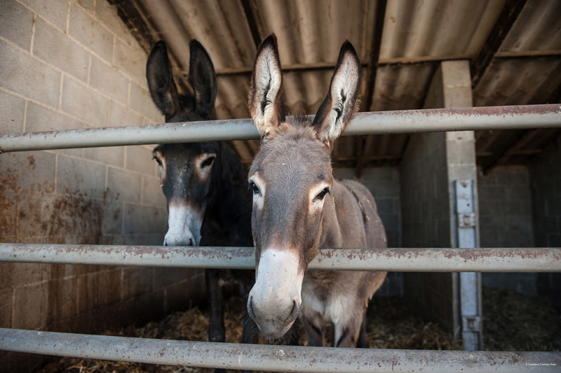 Фото Il Carrettino Country Hotel