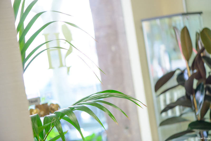 Фото Hotel Sirena