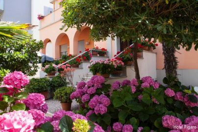 Фото Amadei Hotel Figaro & Apartments