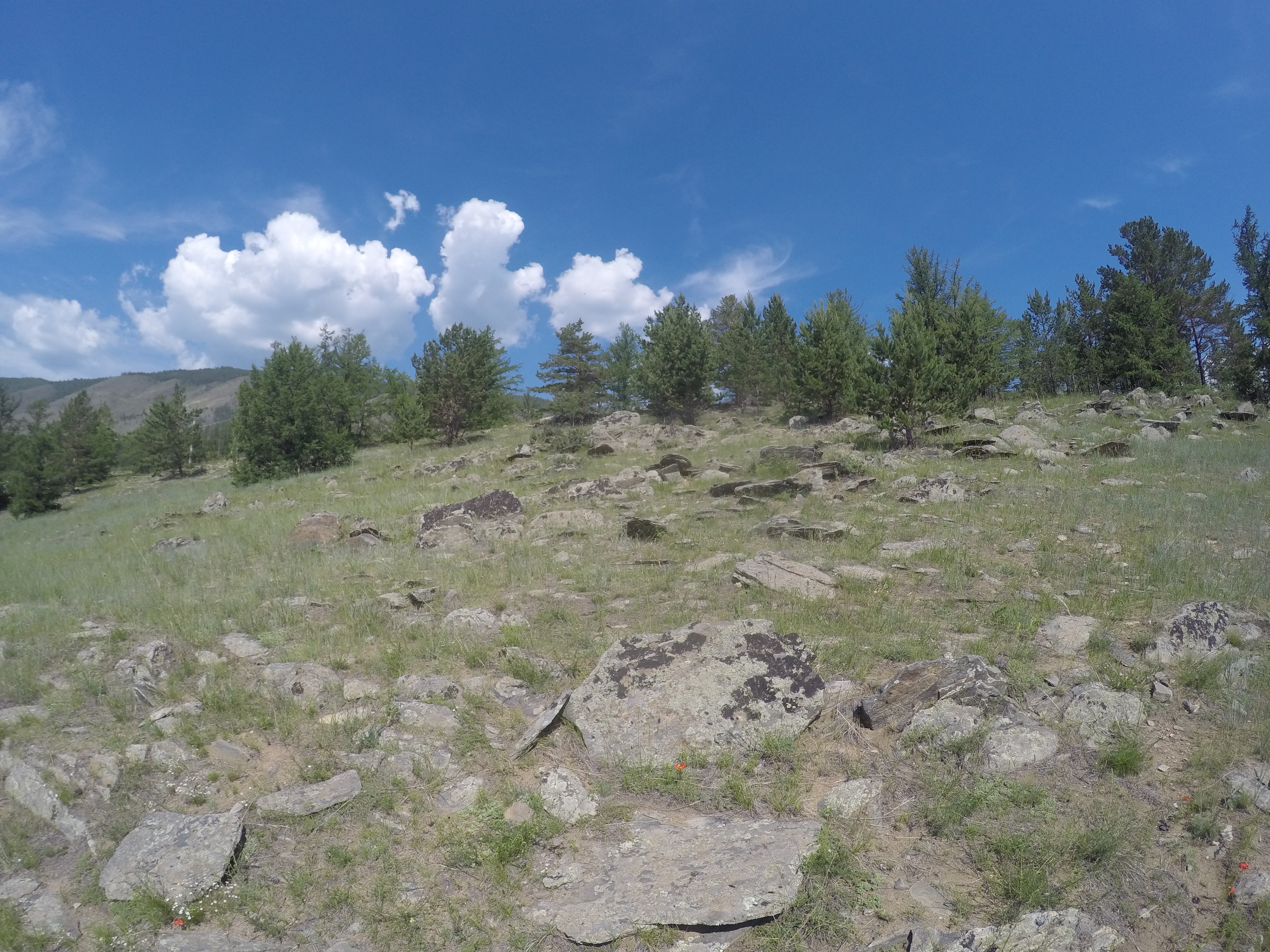Фото Родные берега