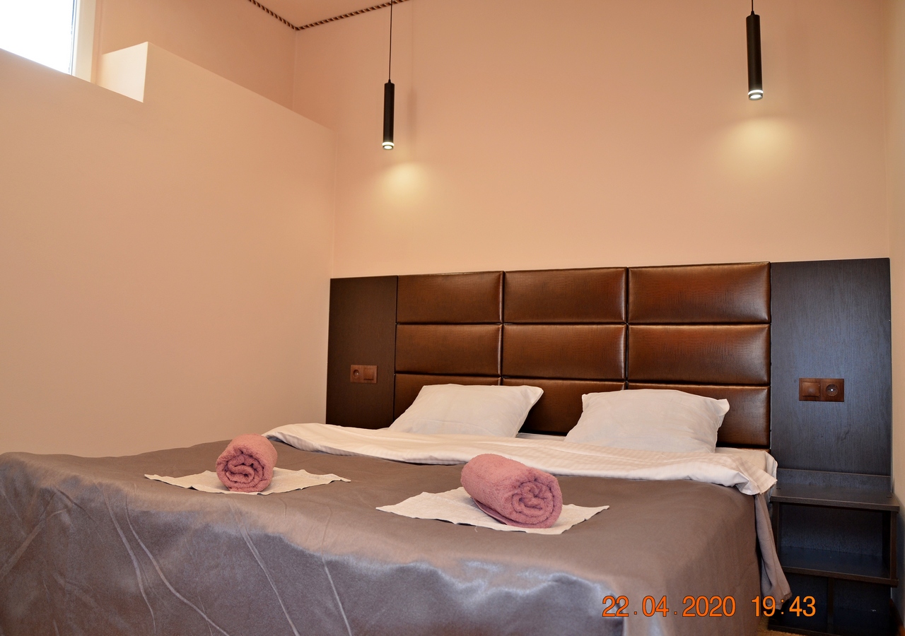 Фото Белая акация