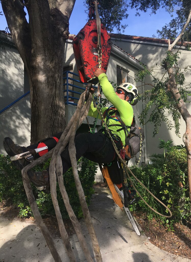 Garden tools and equipment A Cut Above Tree & Landscape Inc, State of Florida, photo