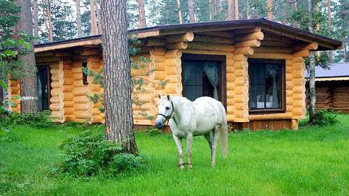 Гостиница Altay Sense