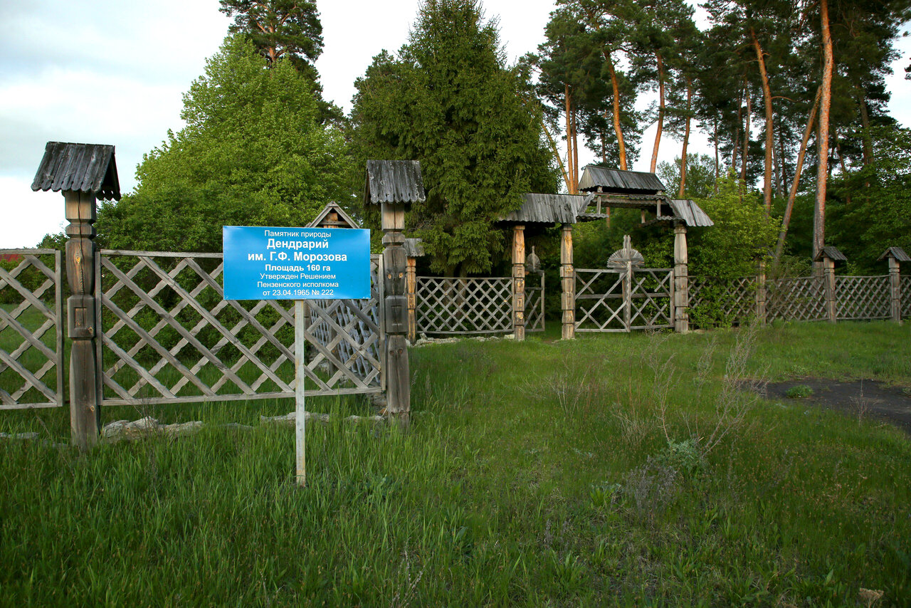 Морозовский дендрарий презентация