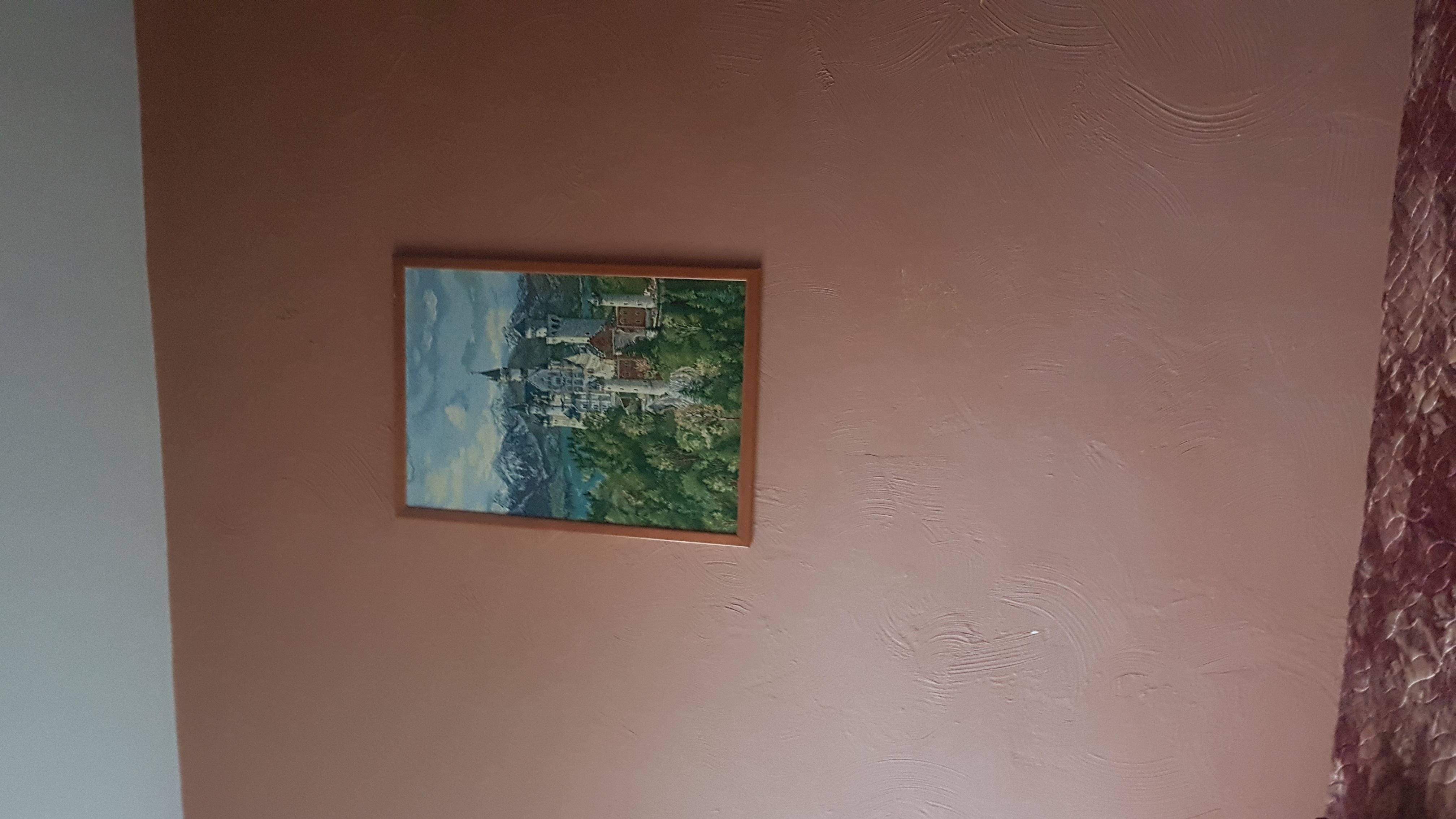 Фото Берёзка