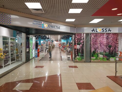 Үлкен мүшесі және конча теңізі