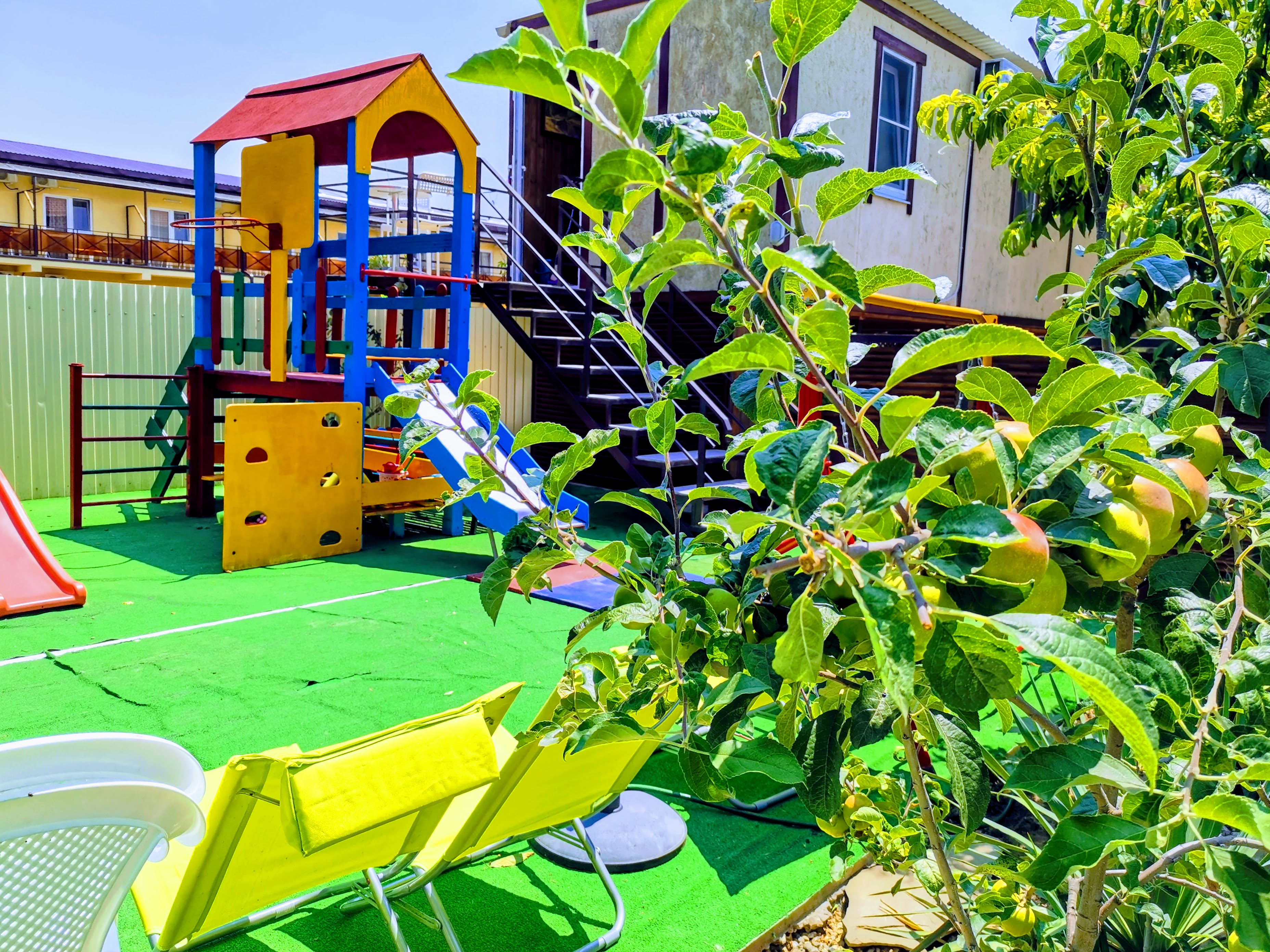 Фото Ракушка Блага