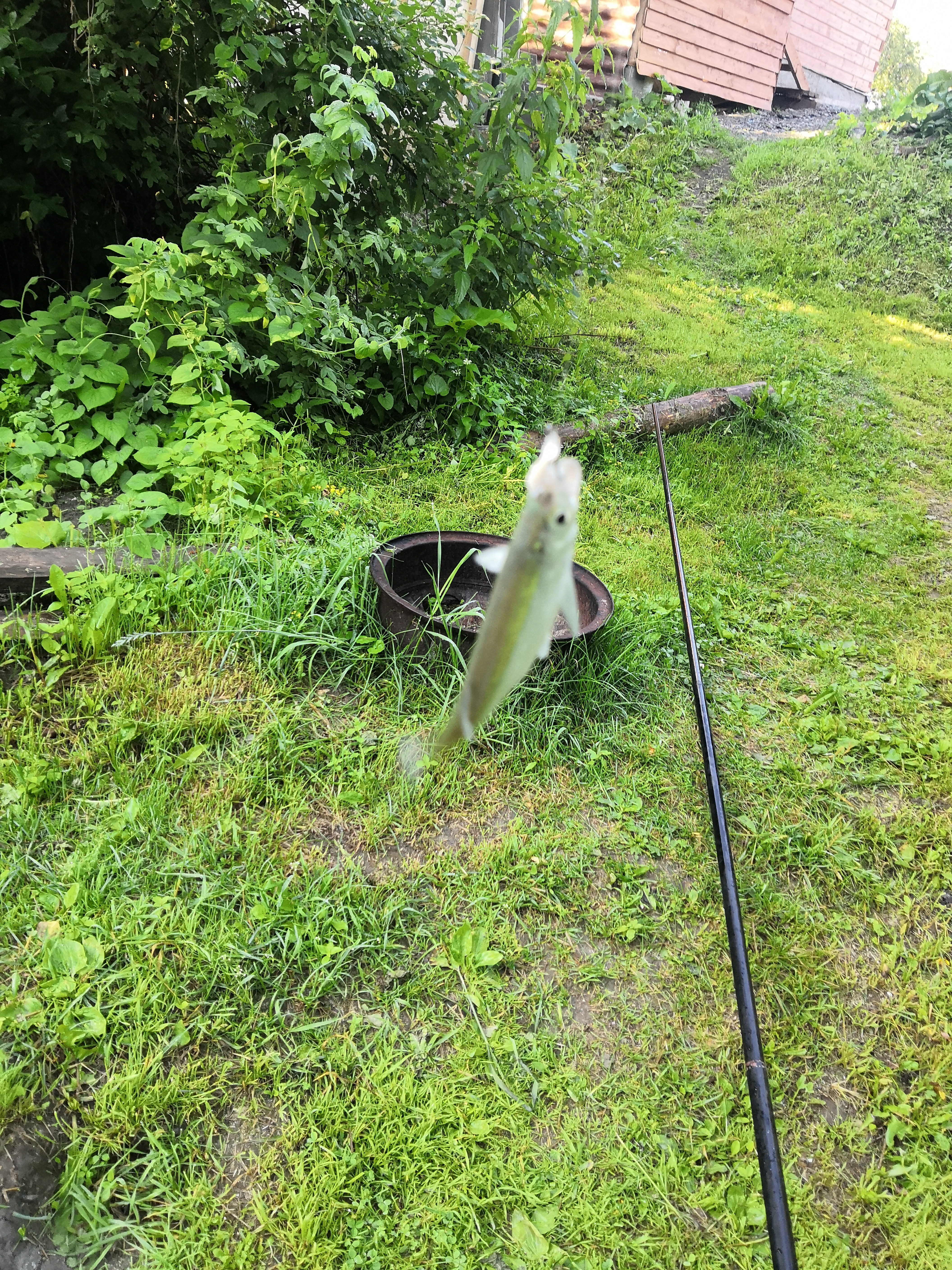 Фото У ручья