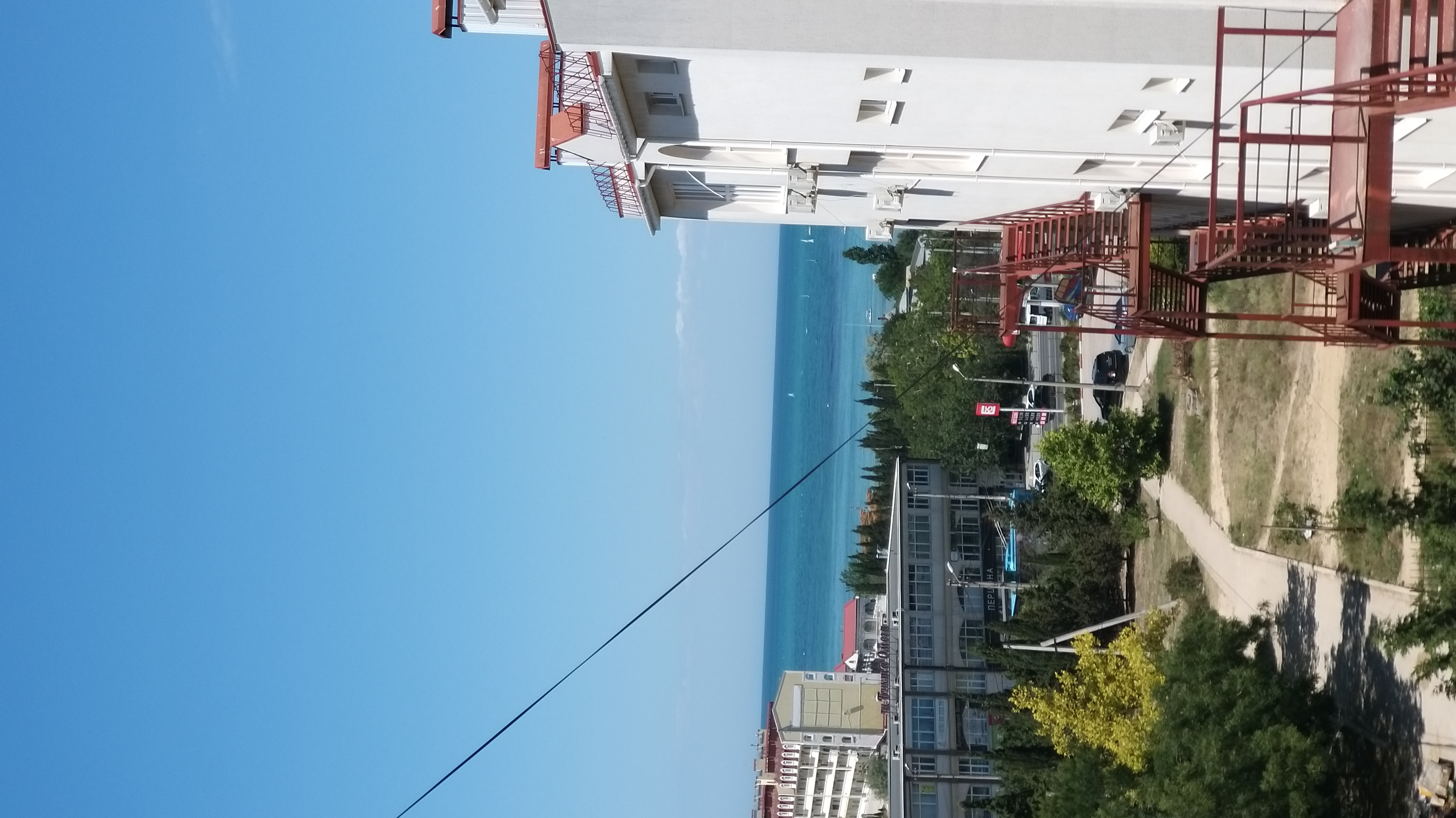 Фото Аурелия