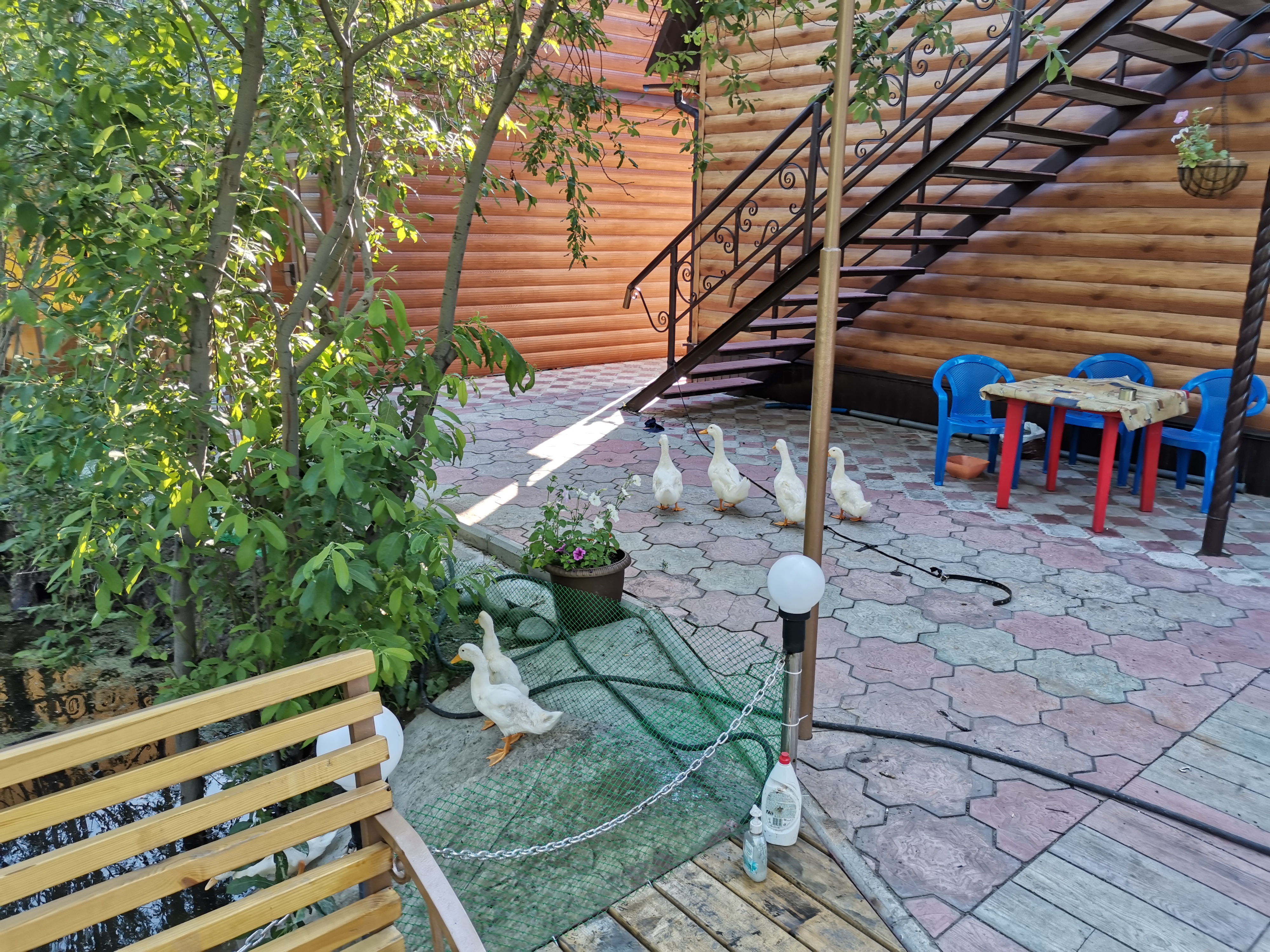 Фото отеля 4