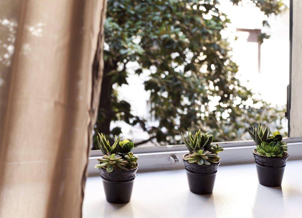 Фото Fashion District Apartment