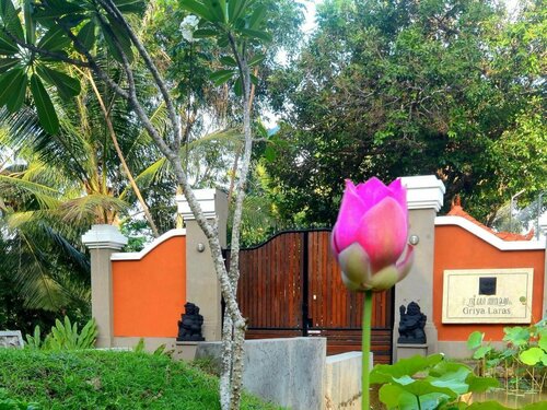 Гостиница The Studio Lombok