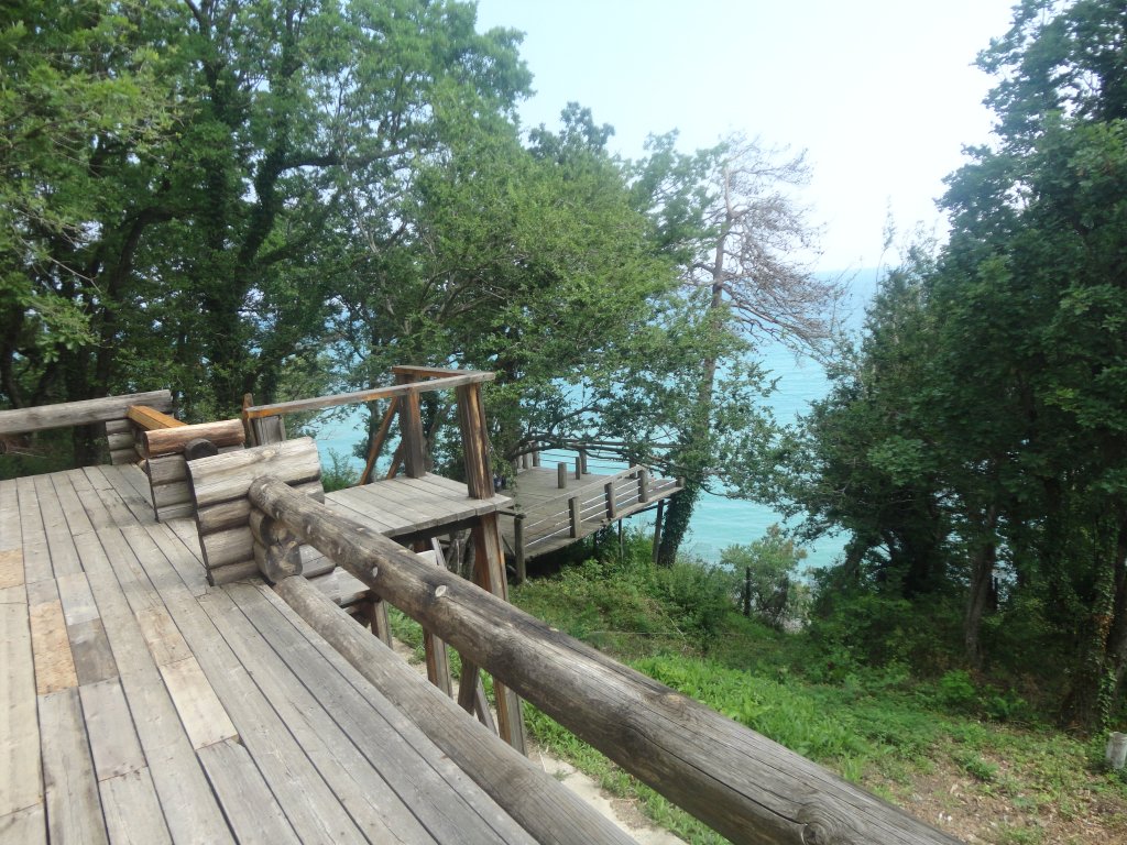 Фото Парк Инал