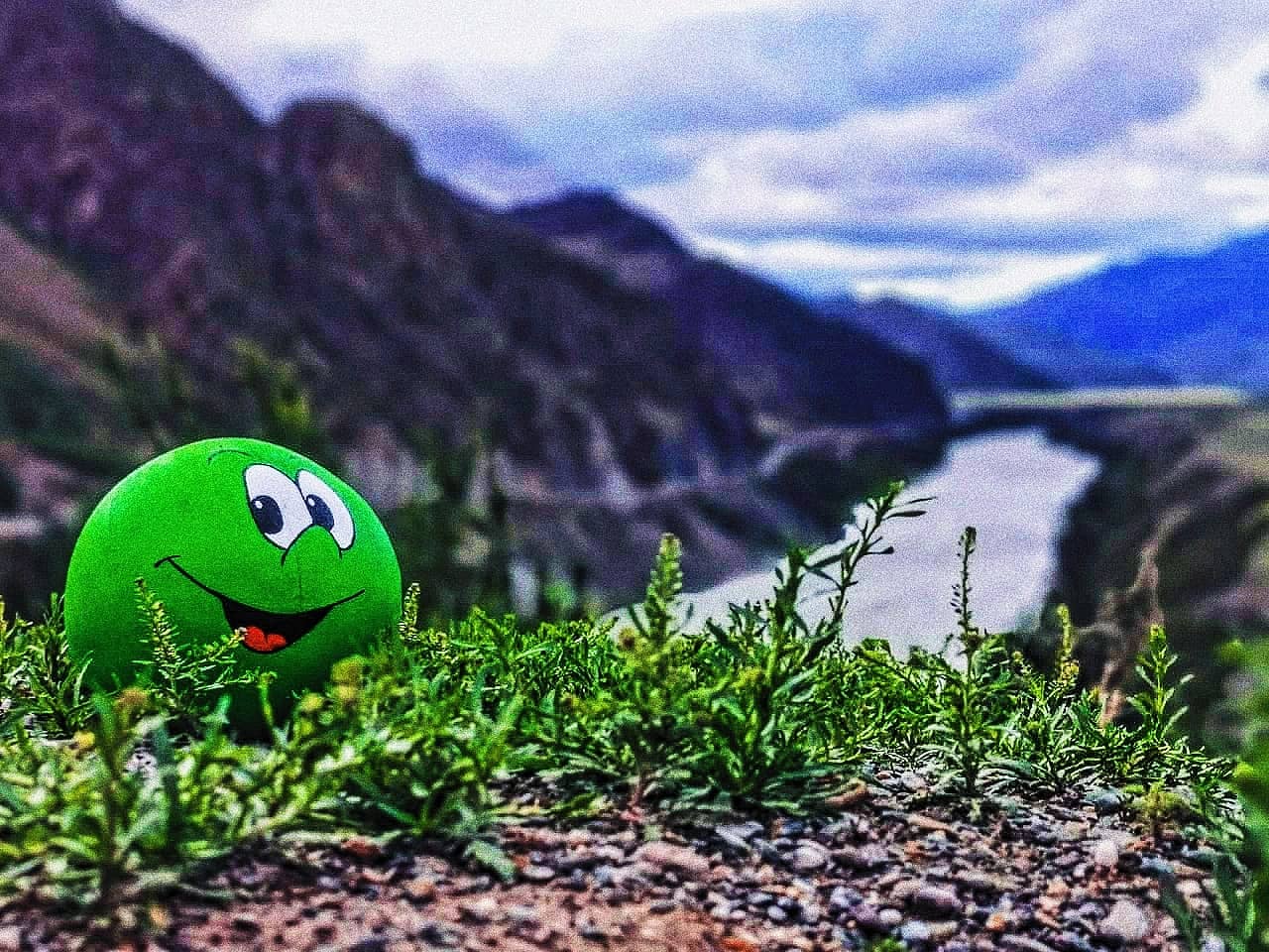 Фото Зелёный колобок