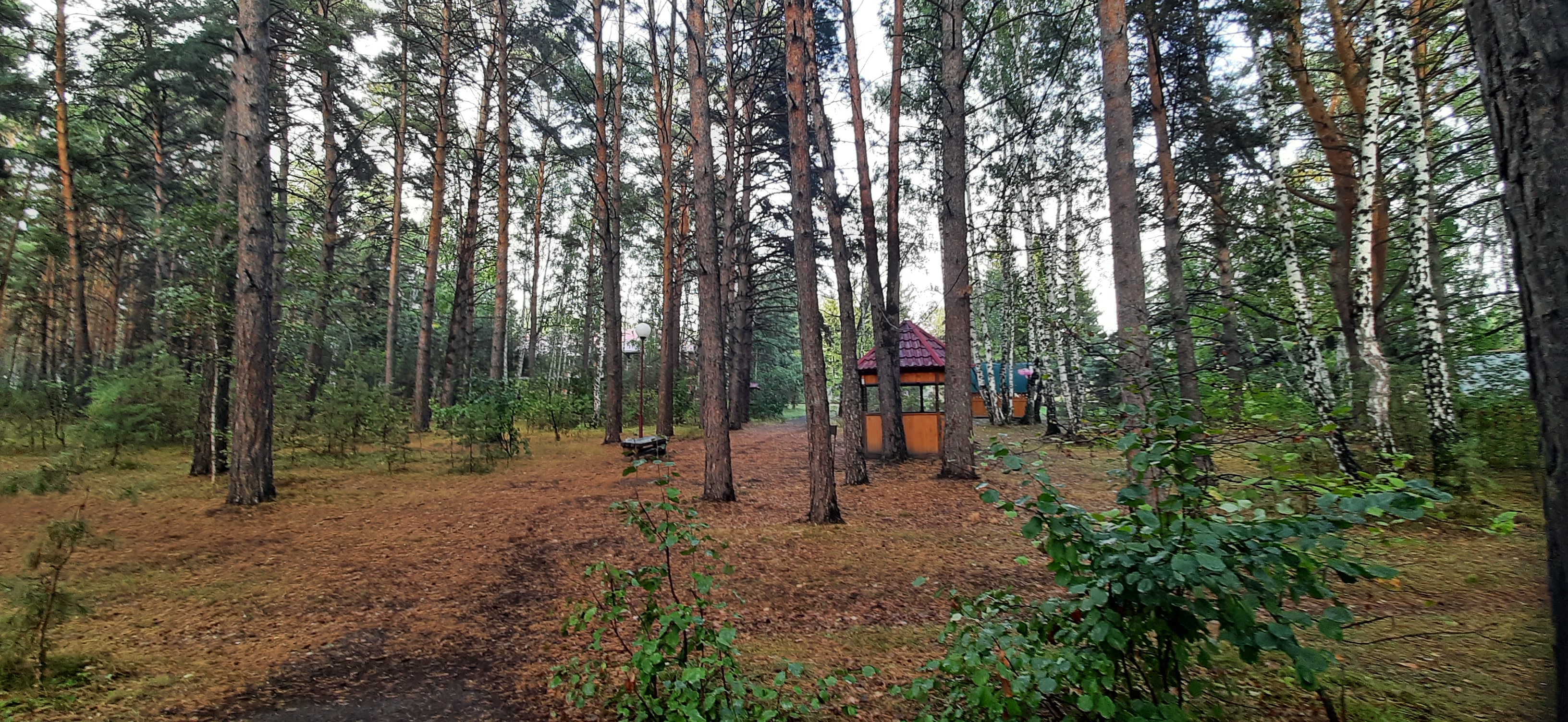 Фото Сказка