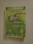 Кадастровое оформление недвижимости (Bolshaya Moskovskaya ulitsa, 44А), cadastral works