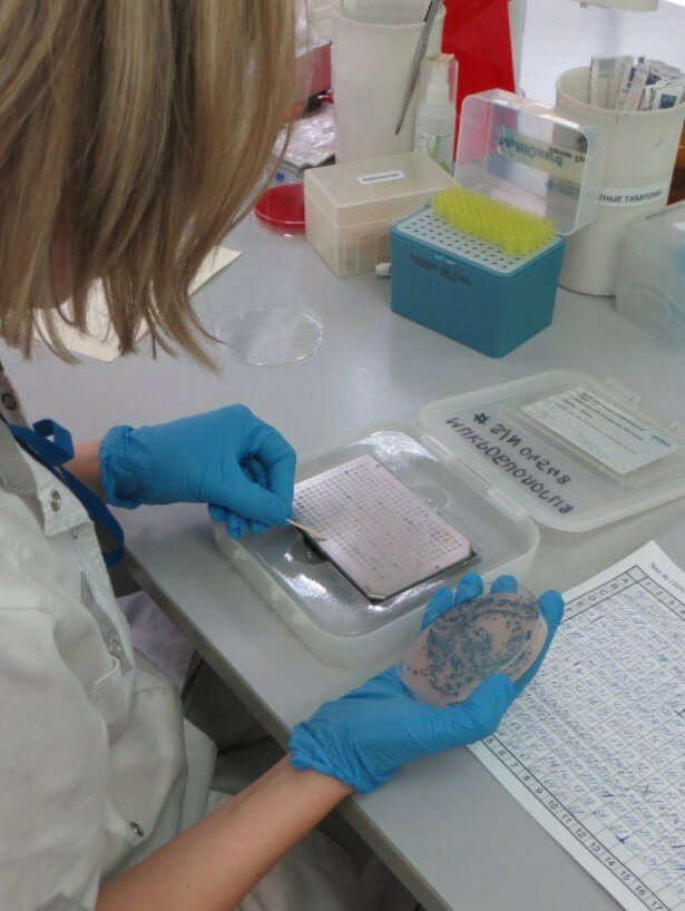 Medical laboratory Litekh, Kaluga, photo